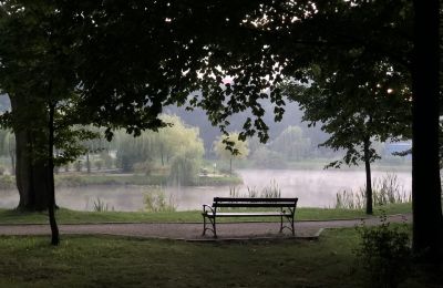 Akcja deratyzacyjna w Parku Miejskim
